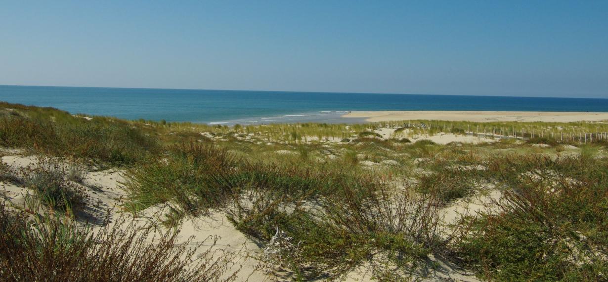 Espace naturel agricole et forestier du littoral néo aquitain