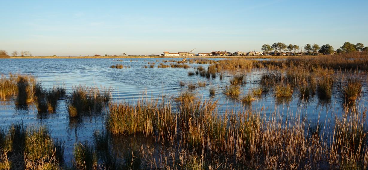 journee thematique planification et espaces naturels 