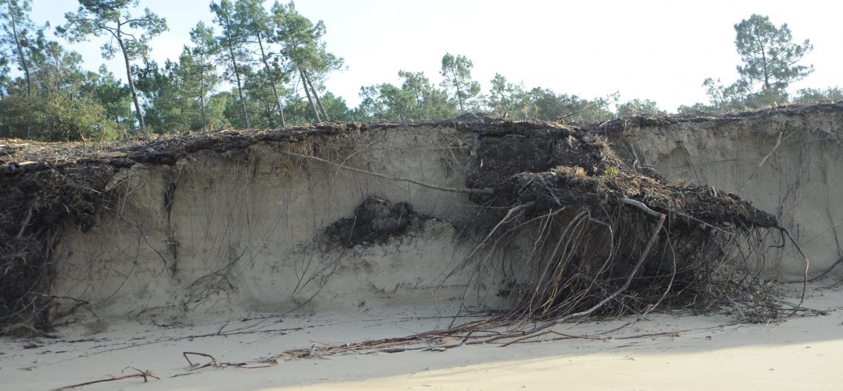 Erosion sur la côte sauvage