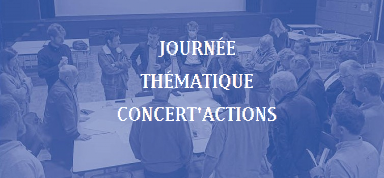 journée thématique concertation concert'actions