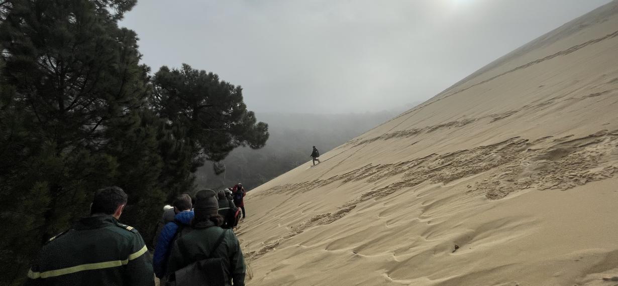 Balade immersive à la Dune du Pilat