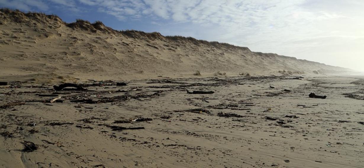 Nettoyage des plages en Gironde