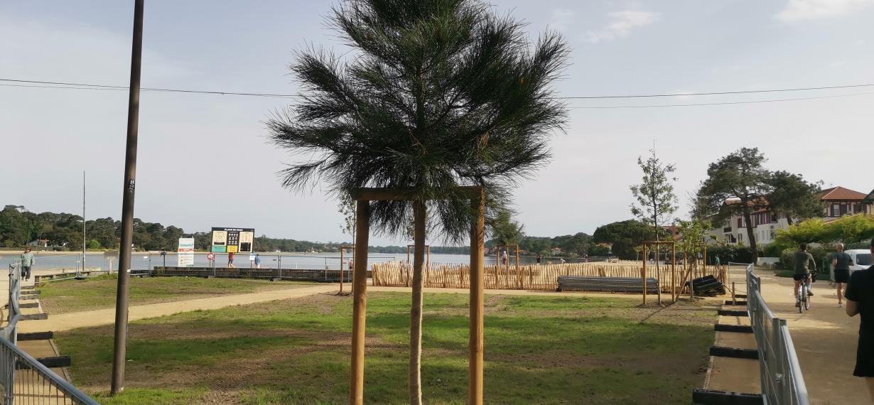 Travaux en cours - plage du Parc à Hossegor