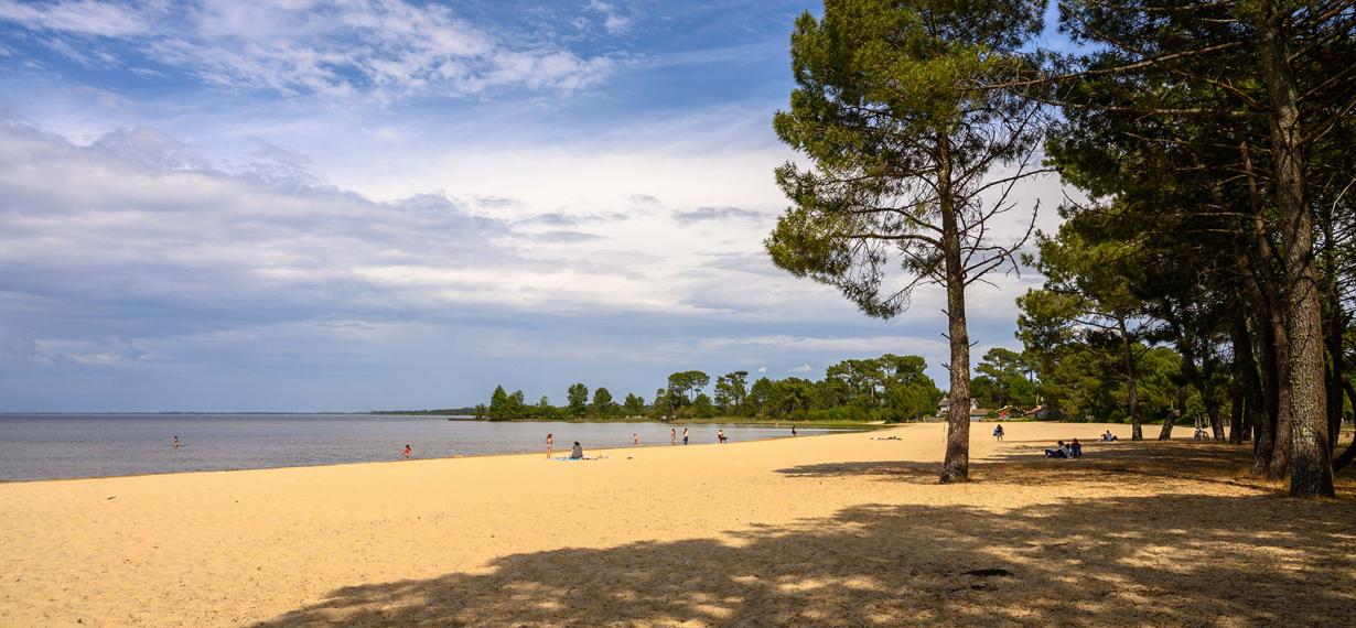 Photo Plage de Sanguinet