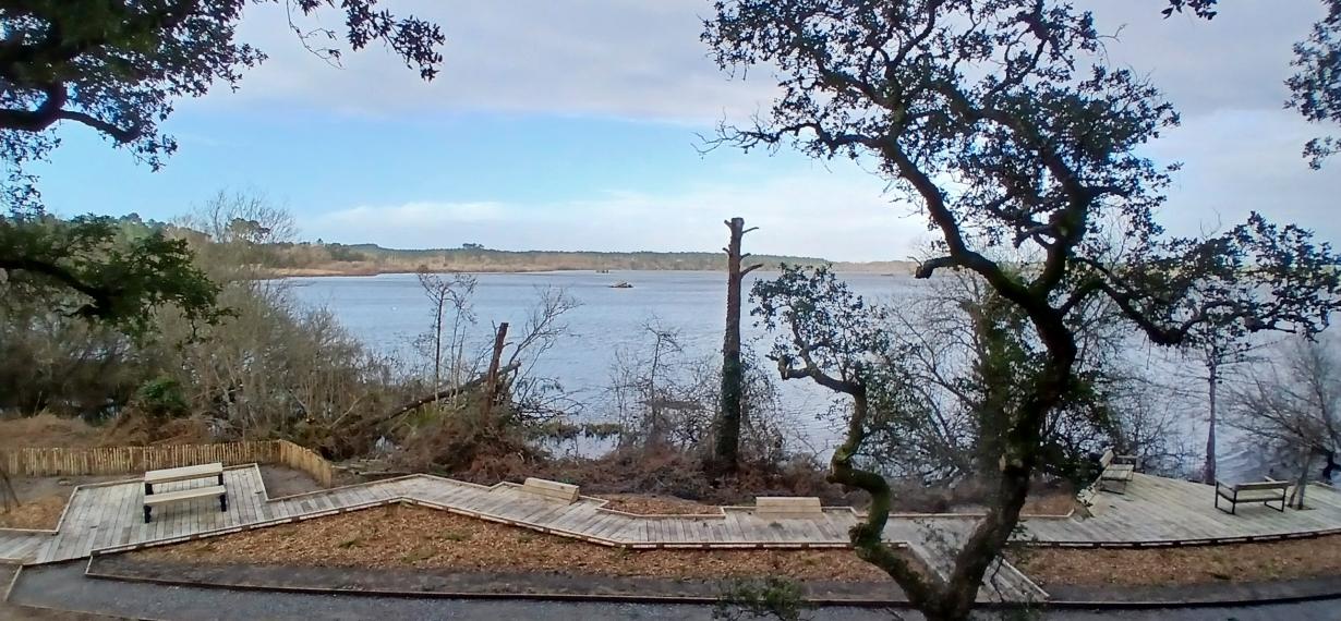 Site de l'étang blanc - en chantier Février 2026