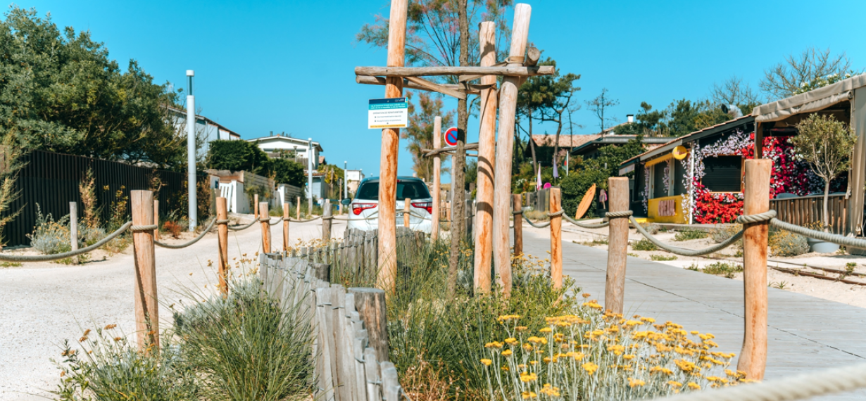 Végétalisation à Lège-Cap-Ferret