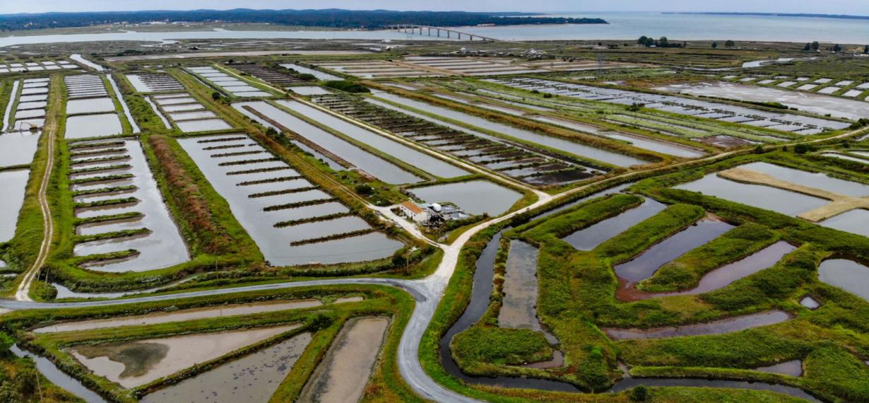 Vue aérienne Marennes 