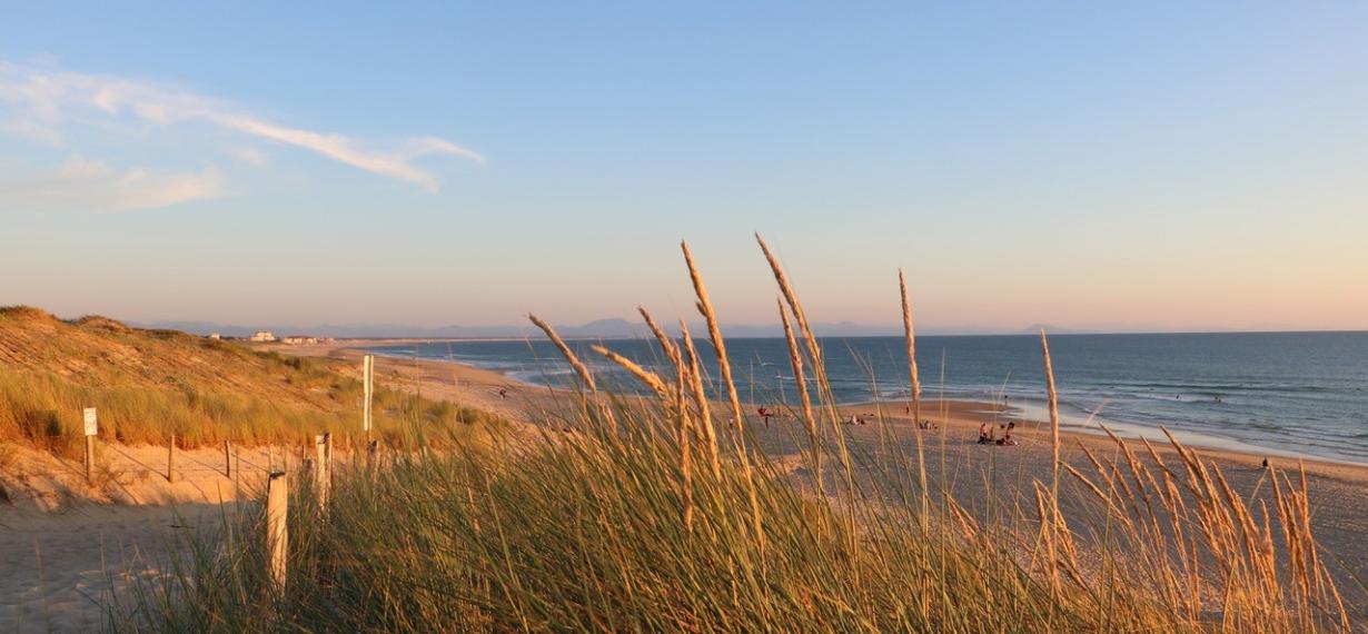 Dune de Seignosse