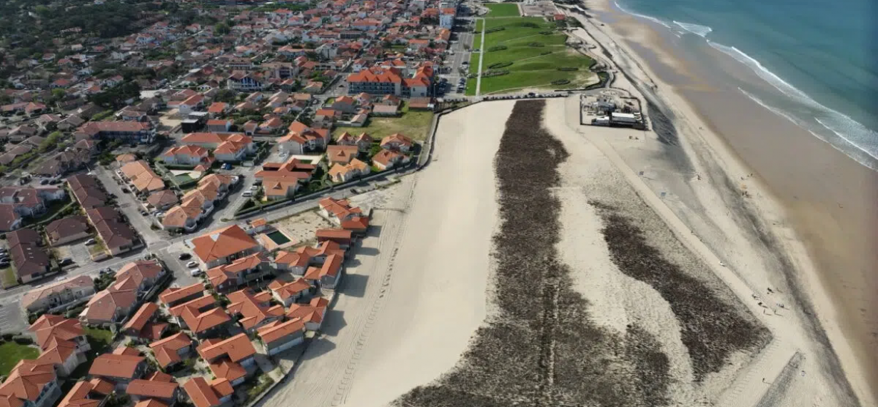 Reprofilage dune Nord Biscarrosse