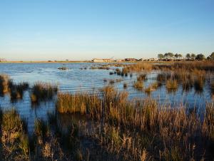 journee thematique planification et espaces naturels 