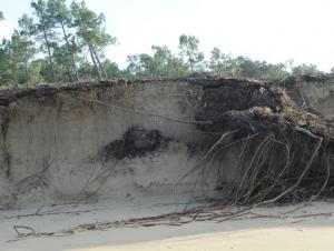Erosion sur la côte sauvage