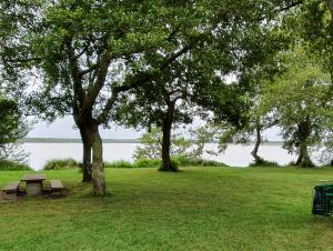 Vue sur les abords de l'étang