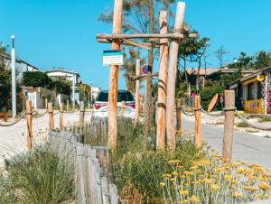 Végétalisation à Lège-Cap-Ferret