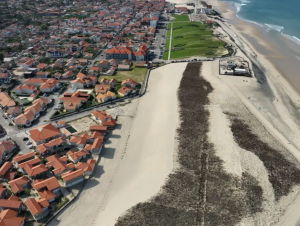Reprofilage dune Nord Biscarrosse