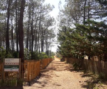 Plage Super Sud à Lacanau