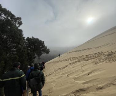 Balade immersive à la Dune du Pilat