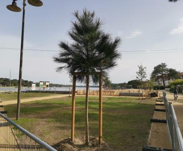 Travaux en cours - plage du Parc à Hossegor