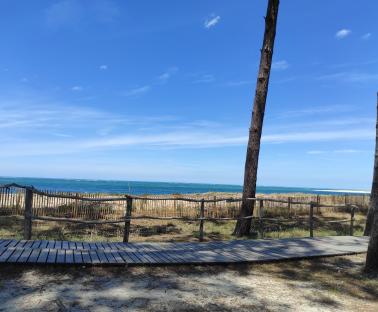 Plage La Teste de Buch 