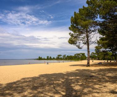 Photo Plage de Sanguinet