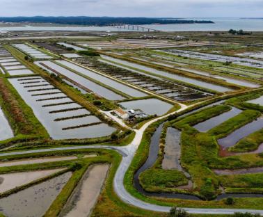 Vue aérienne Marennes 