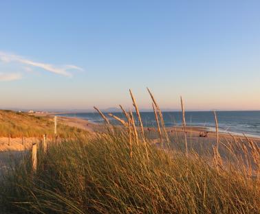 Dune de Seignosse