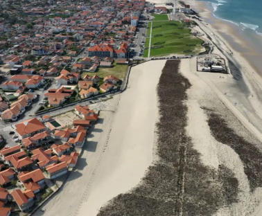 Reprofilage dune Nord Biscarrosse