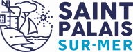 Logo Saint Palais