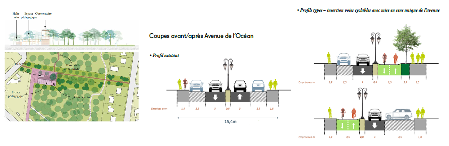 A droite : la pinède obervatoire – A gauche : coupe avant/après avenue de l’océan @Atelier Georges