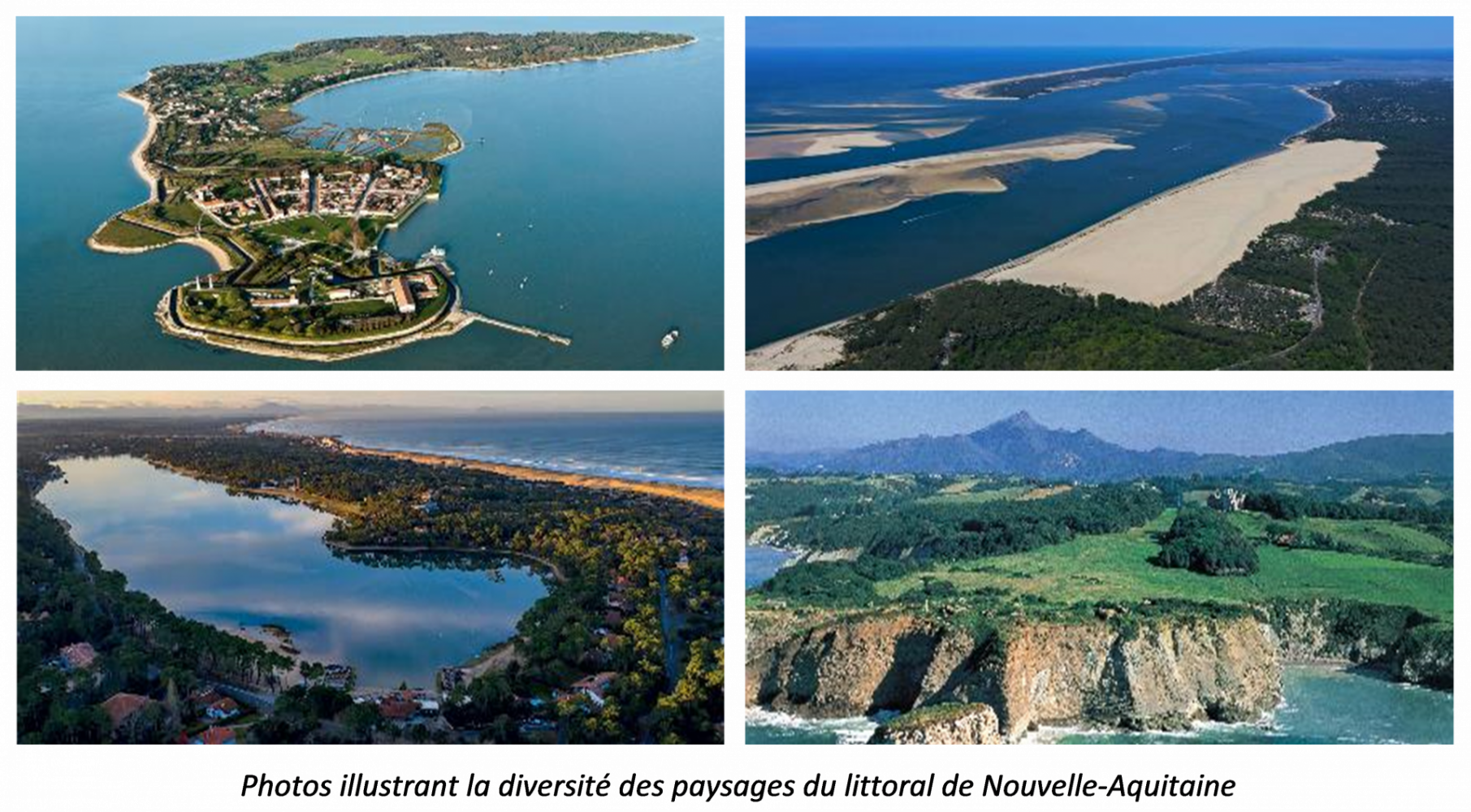 Illustration de paysages variés