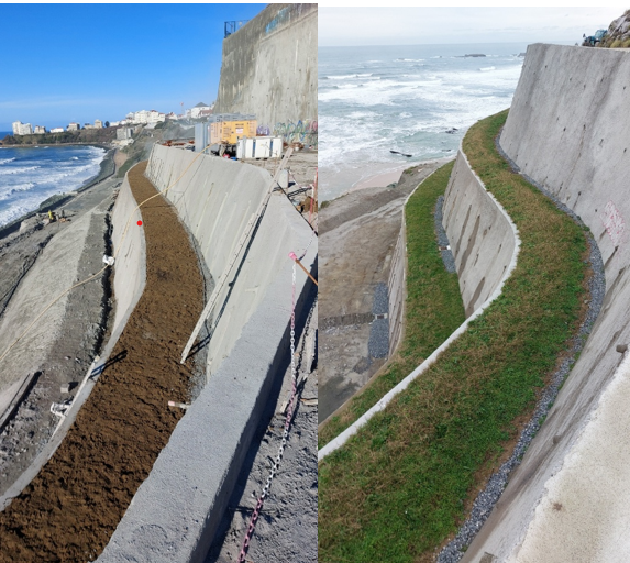 Végétalisation des plateformes @Ville de Biarritz
