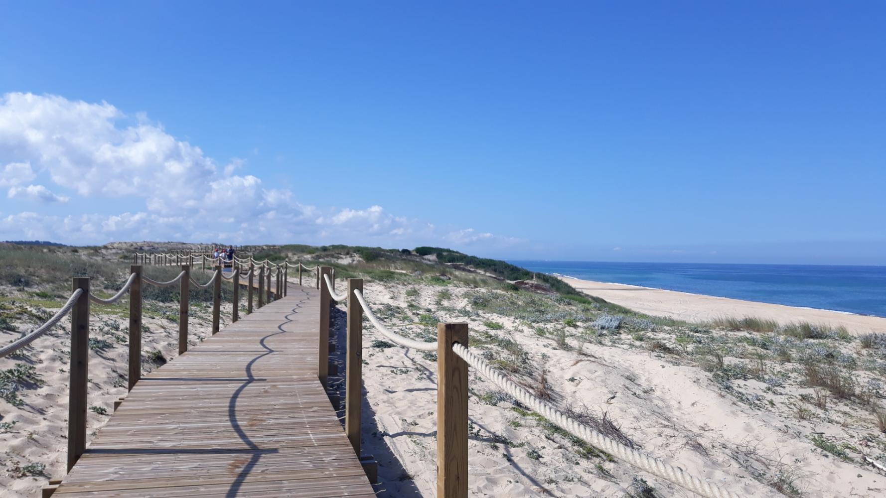 Canalisation des flux piétons sur promenade dune 