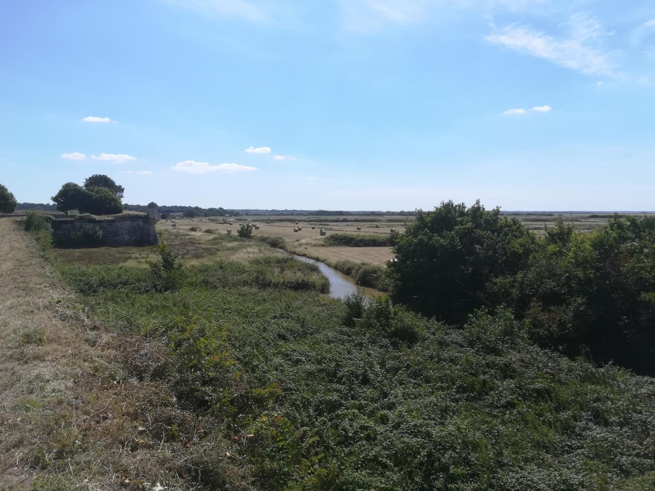 Marais de Brouage