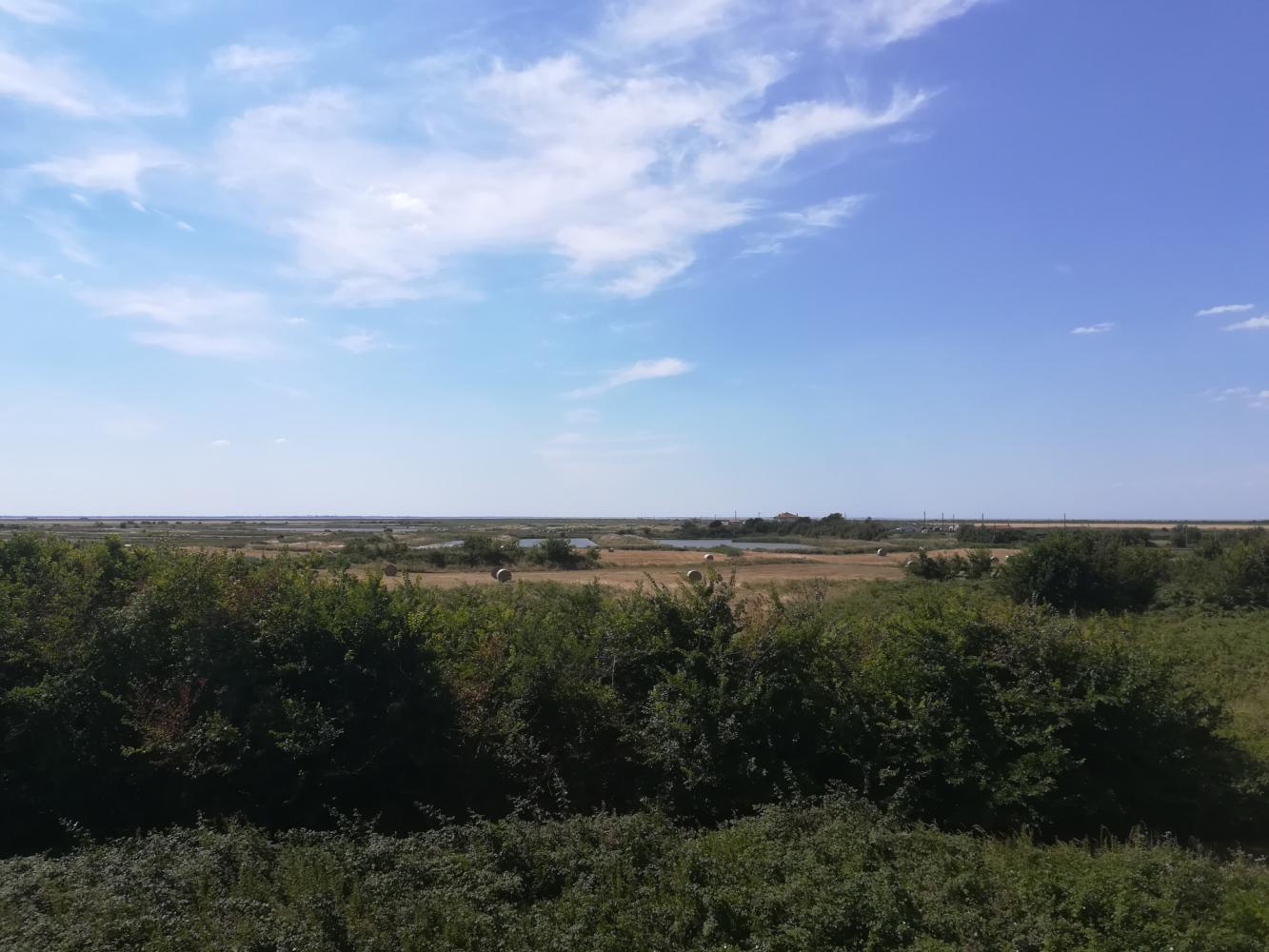 Marais de Brouage