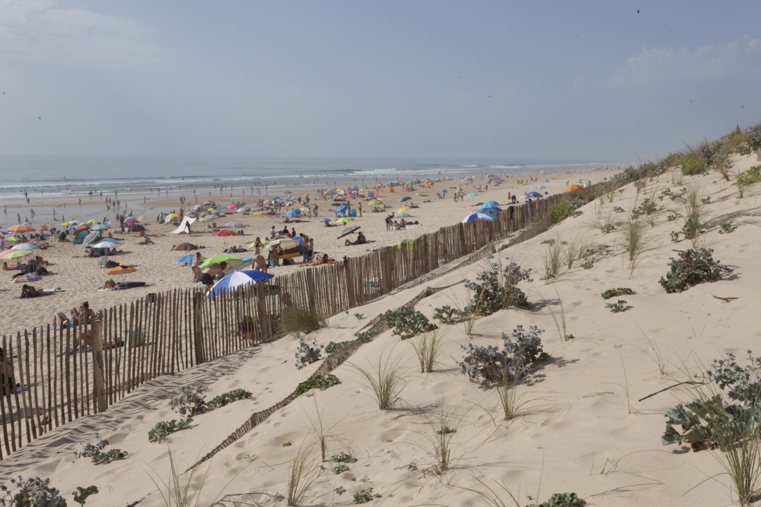 Dispositifs protection de la dune