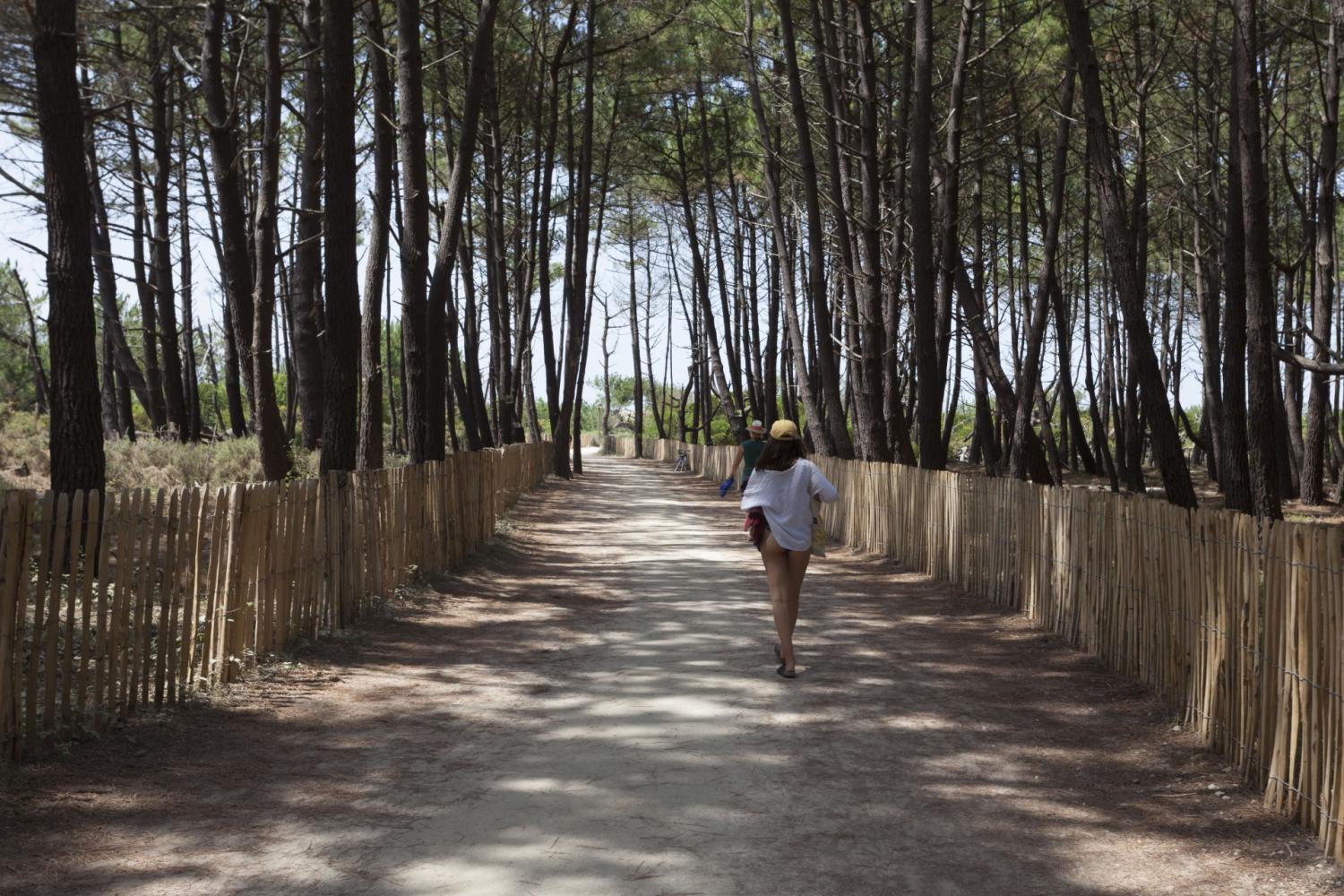 Accès piéton principal menant à la Plage des Viviers