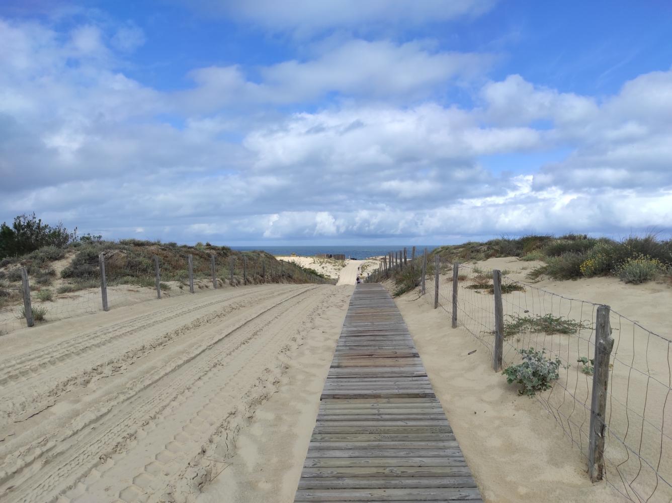 Caillebotis d'accès à la plage - Juin 2024 