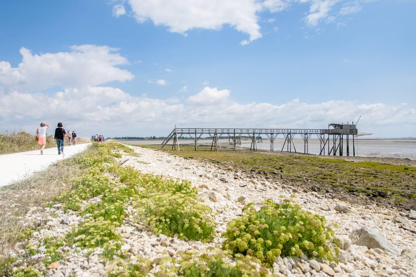 Carrelets sur l'Ile Madame