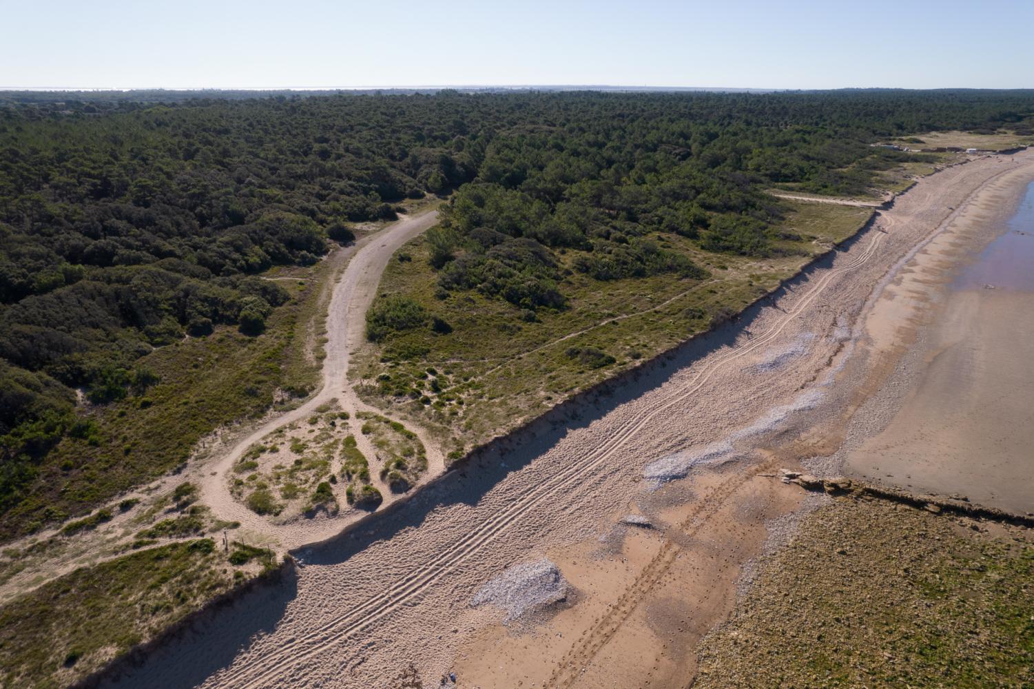 Vue drone de Rouchoux 2 - Vert Bois