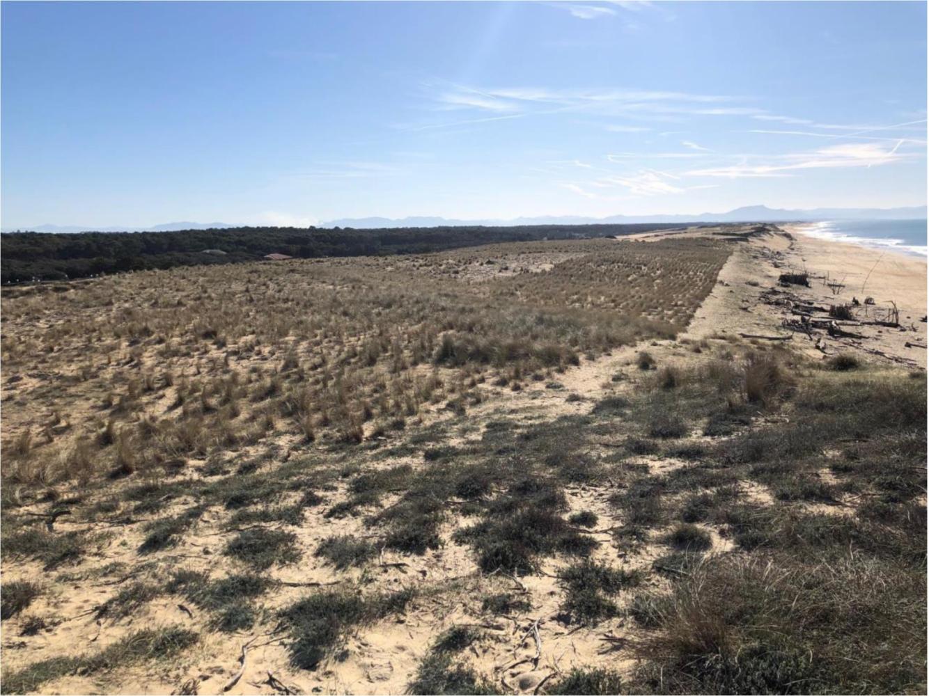 Secteur des Océanides -  Etat cordon dunaire février 2020