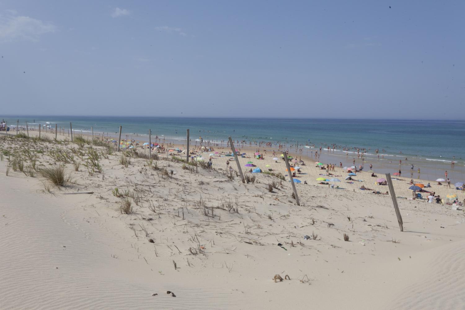 Dispositif protection dune Plage Sud