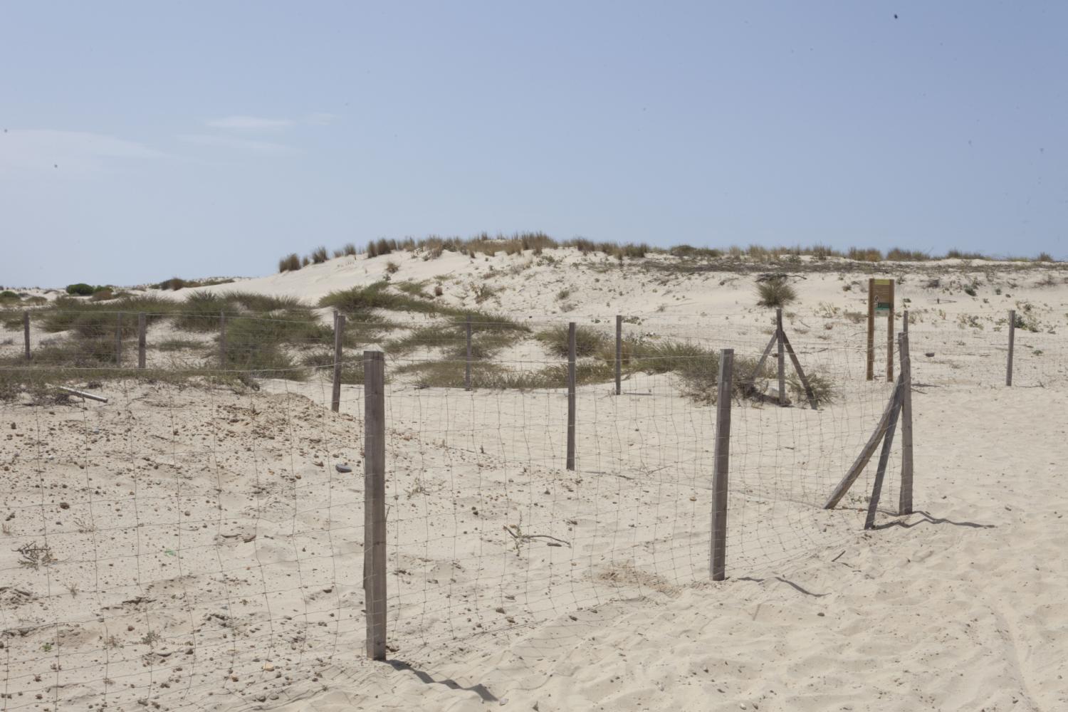 Dispositifs de protection de la dune Lette des Viviers