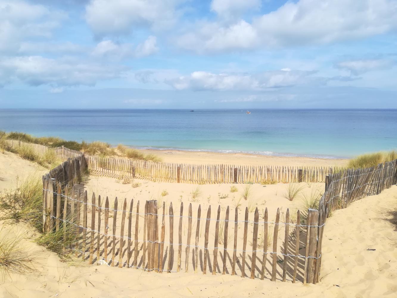 Dispositif de ganivelles de la Plage des Saumonards