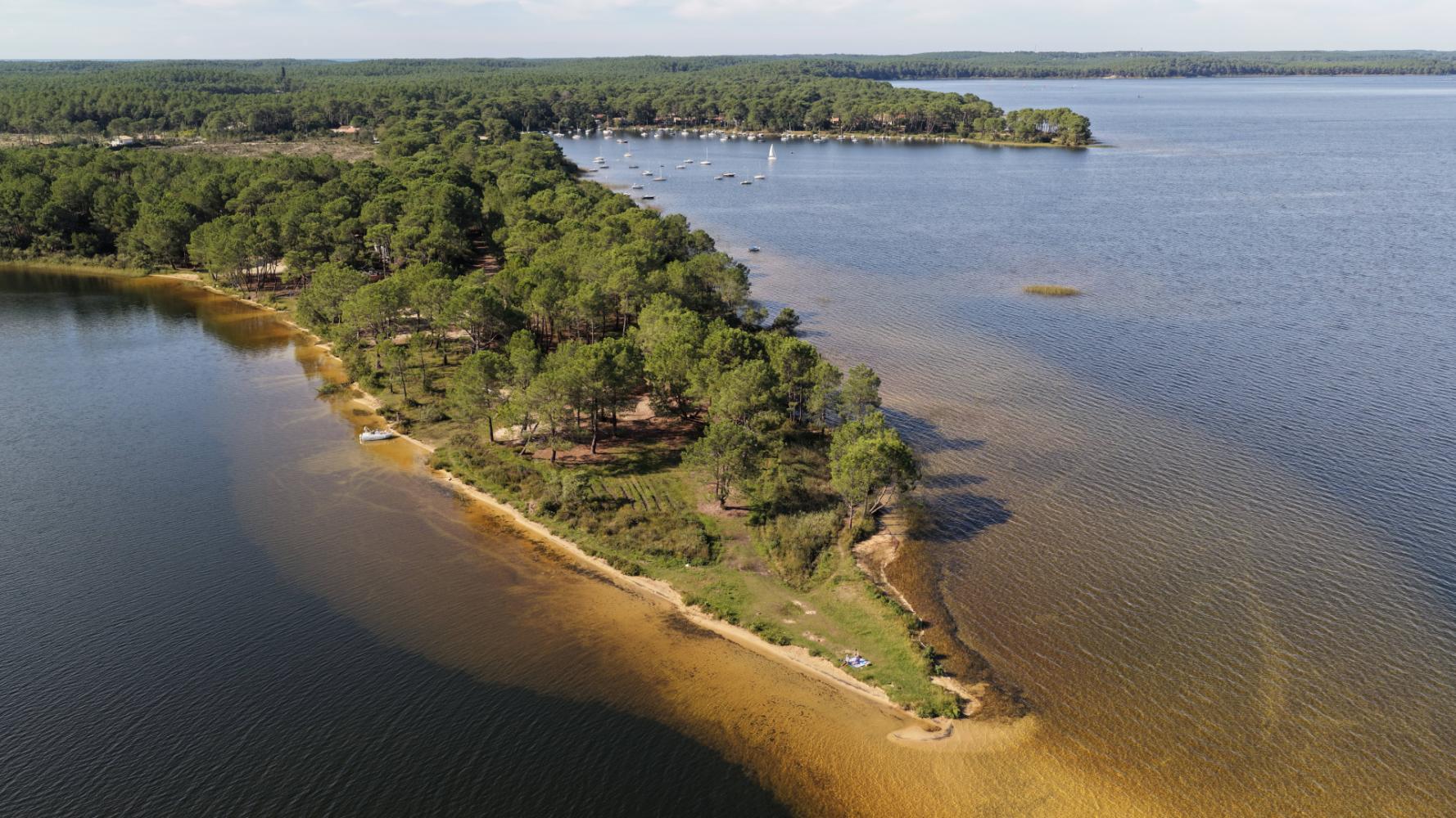 Vue sur le lac de Lacanau et ses abords