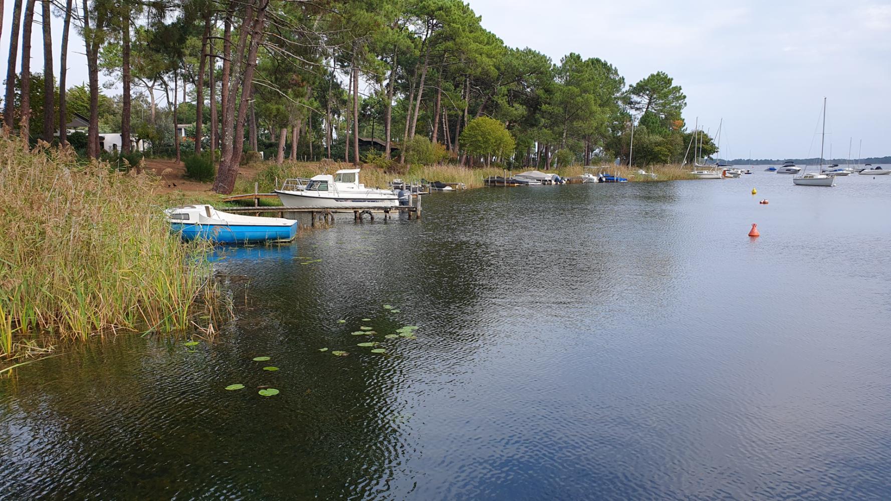 Vue sur le lac de Lacanau et ses abords