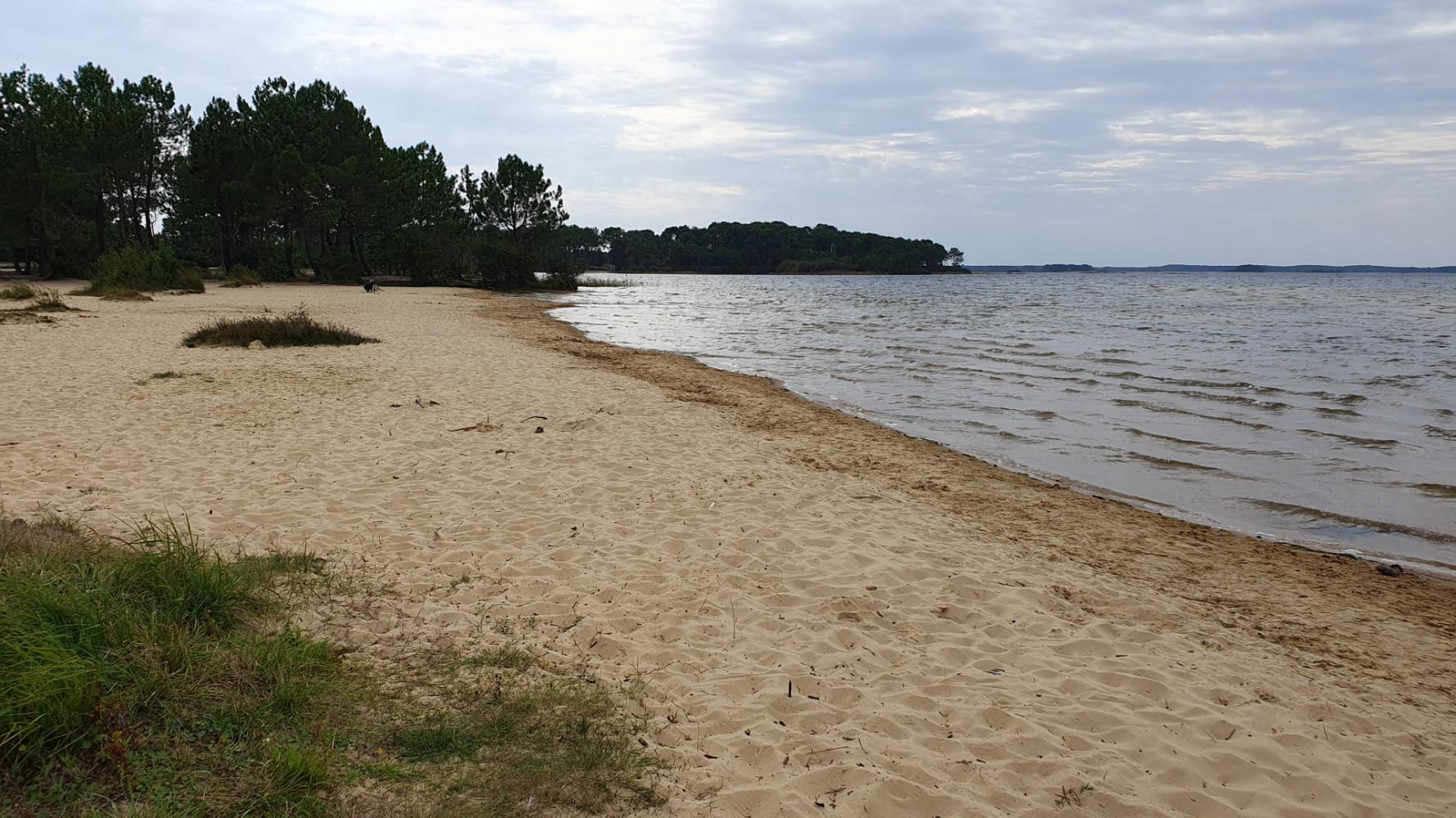 Vue sur le lac de Lacanau et ses abords