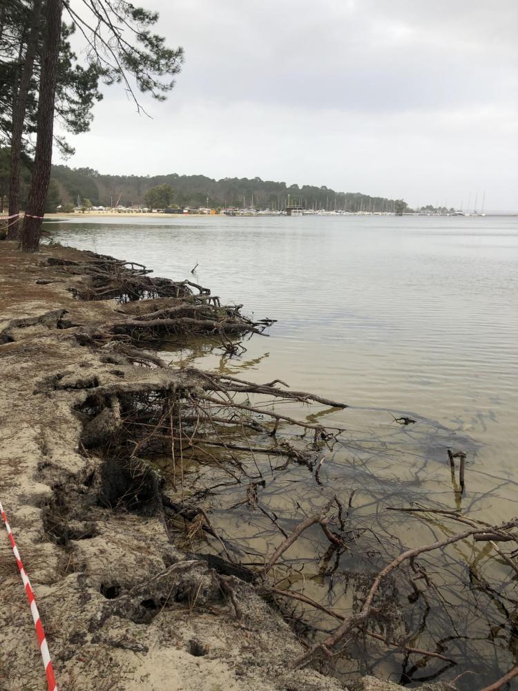 Erosion des berges_2