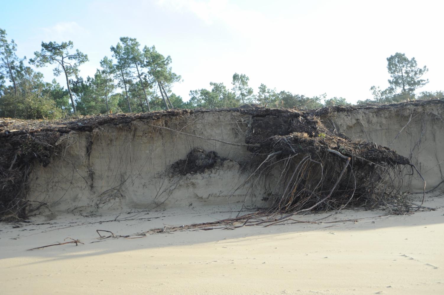 Erosion sur la côte sauvage 
