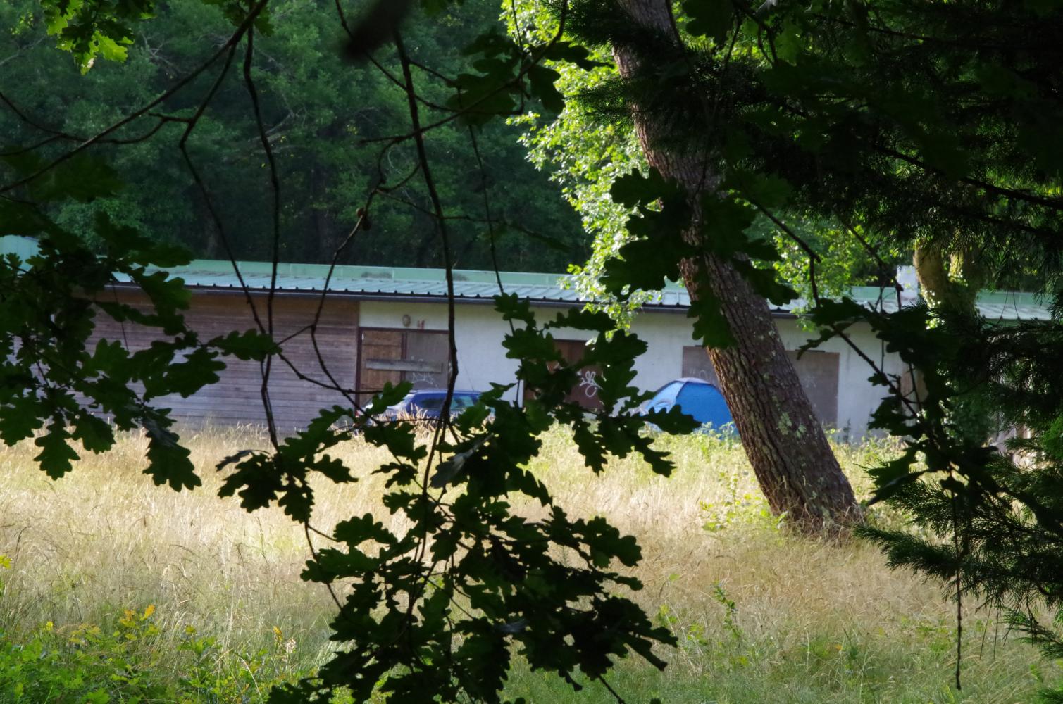 Friche Capariou au bord de l'étang d'Aureilhan 