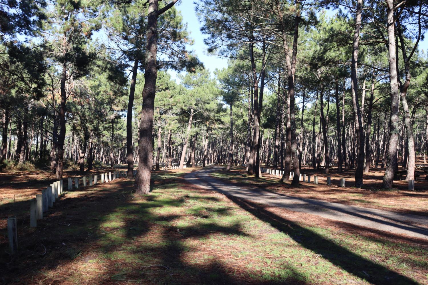 Parking forestier plage Remember