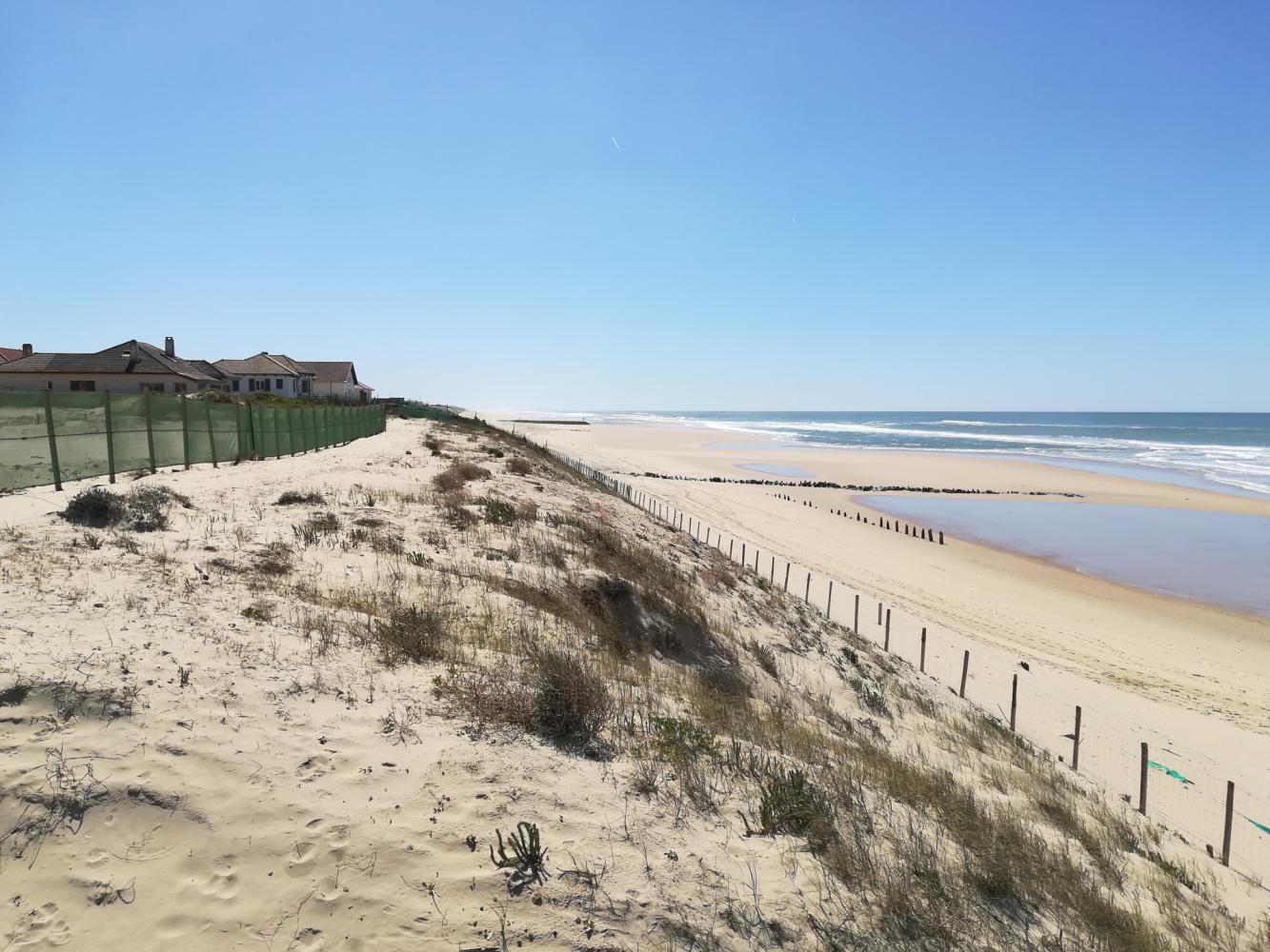 Dune au sud du courant de Mimizan